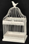 Bird Cage for Envelopes
